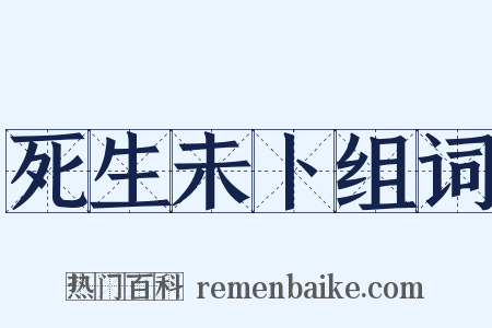 死生未卜组词是什么意思的图片